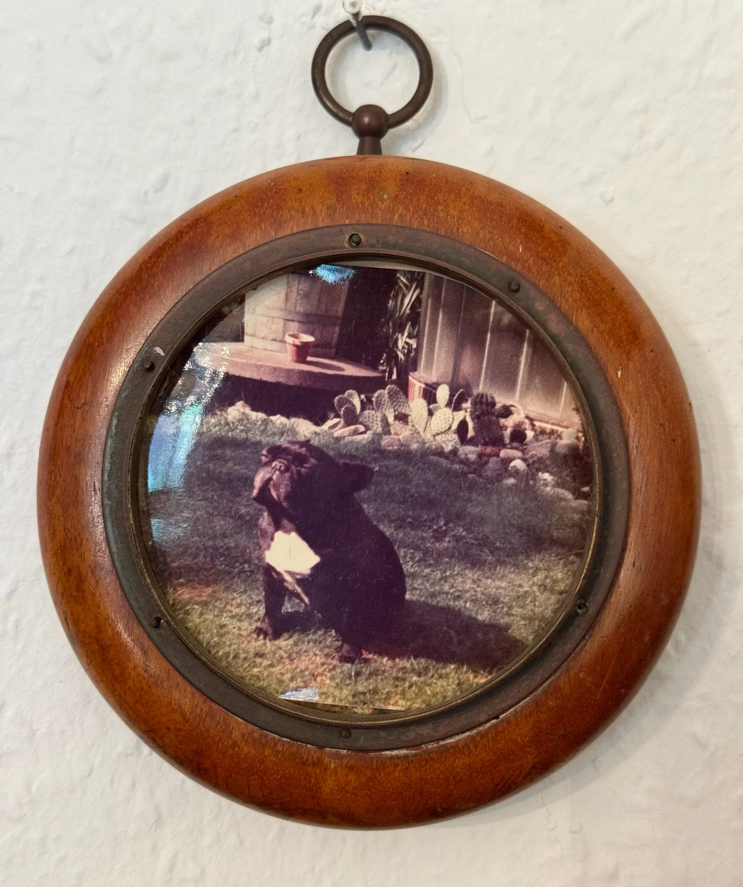 Historisches Bulldoggen-Porträt – Familienbegleiter im Hause Roth
